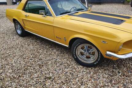 Ford Mustang Gebrauchtwagen