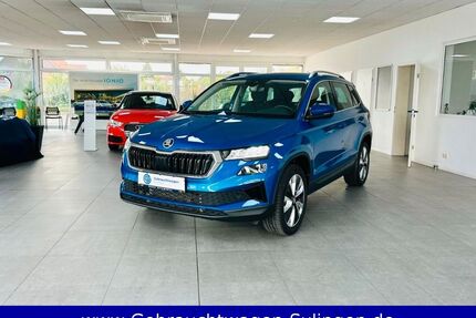 Skoda Karoq Gebrauchtwagen