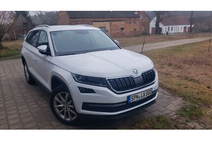 Skoda Kodiaq Gebrauchtwagen