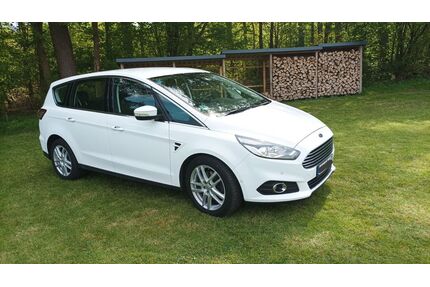 Ford S-Max Gebrauchtwagen