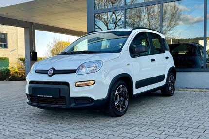 Fiat Panda Gebrauchtwagen