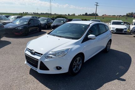 Ford Focus Gebrauchtwagen