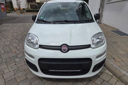 Fiat Panda Gebrauchtwagen