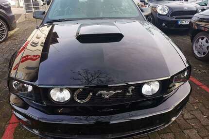 Ford Mustang Gebrauchtwagen