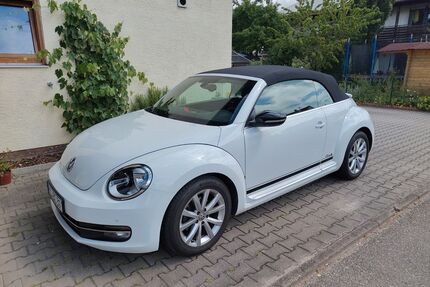VW Beetle Gebrauchtwagen