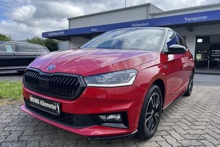 Skoda Fabia Gebrauchtwagen