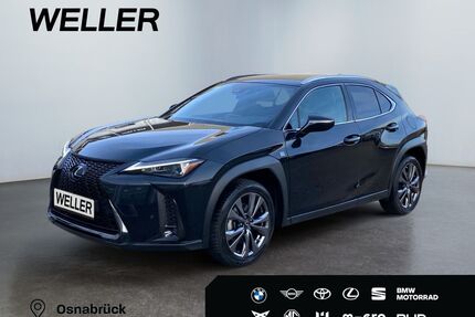 Lexus UX Gebrauchtwagen