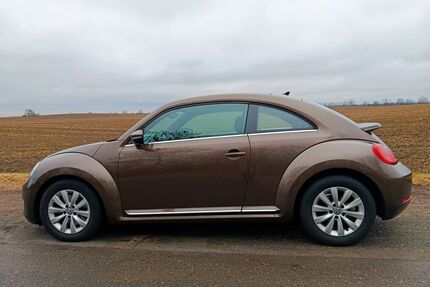 VW Beetle Gebrauchtwagen