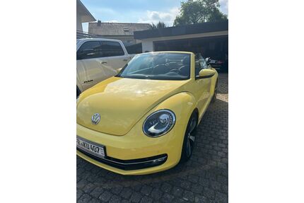 VW Beetle Gebrauchtwagen