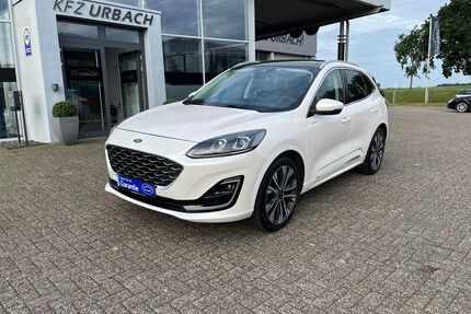 Ford Kuga Gebrauchtwagen