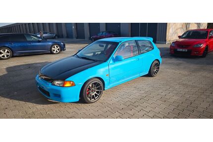 Honda Civic Gebrauchtwagen