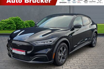 Ford Andere Gebrauchtwagen
