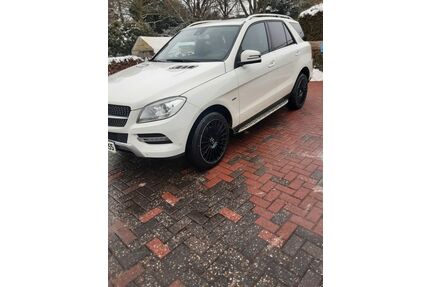 Mercedes-Benz ML 250 Gebrauchtwagen