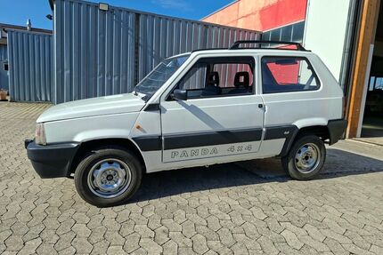 Fiat Panda Gebrauchtwagen