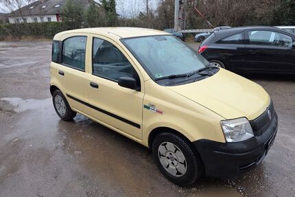 Fiat Panda Gebrauchtwagen