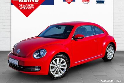 VW Beetle Gebrauchtwagen