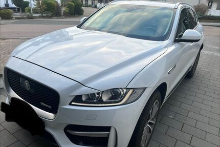 Jaguar F-Pace Gebrauchtwagen