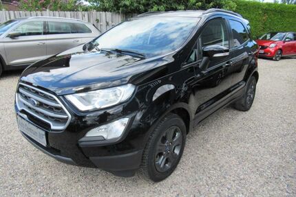 Ford EcoSport Gebrauchtwagen