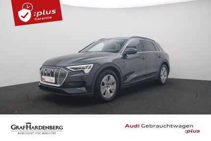 Audi e-tron Gebrauchtwagen