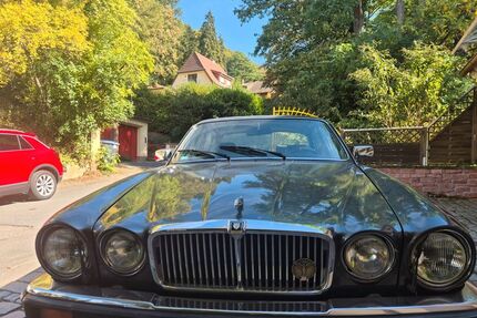 Jaguar XJ12 Gebrauchtwagen