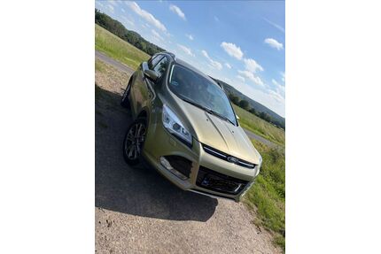 Ford Kuga Gebrauchtwagen