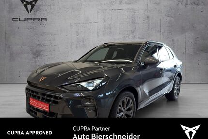 Cupra Terramar Gebrauchtwagen