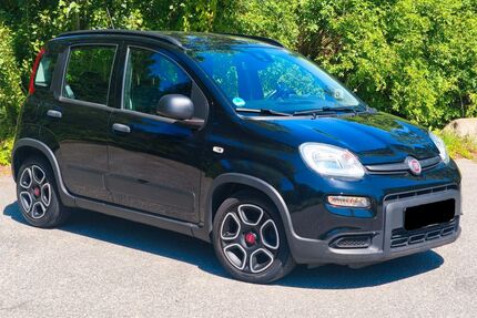 Fiat Panda Gebrauchtwagen