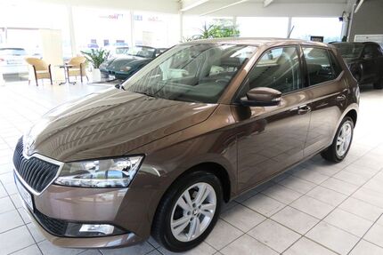 Skoda Fabia Gebrauchtwagen