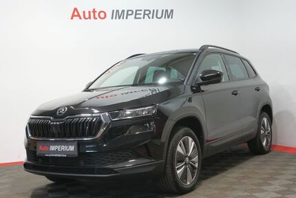 Skoda Karoq Gebrauchtwagen