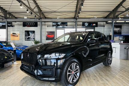 Jaguar F-Pace Gebrauchtwagen