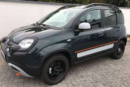 Fiat Panda Gebrauchtwagen