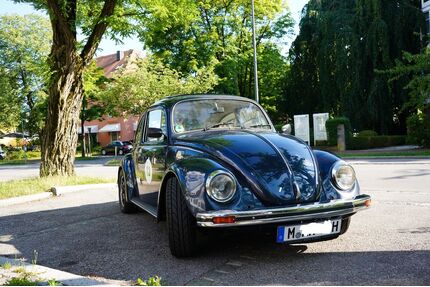 VW Käfer Gebrauchtwagen