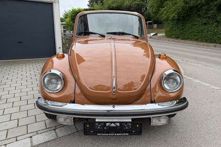 VW Käfer Gebrauchtwagen