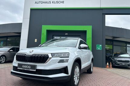 Skoda Karoq Gebrauchtwagen