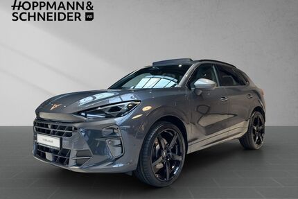 Cupra Terramar Gebrauchtwagen