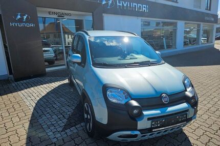 Fiat Panda Gebrauchtwagen