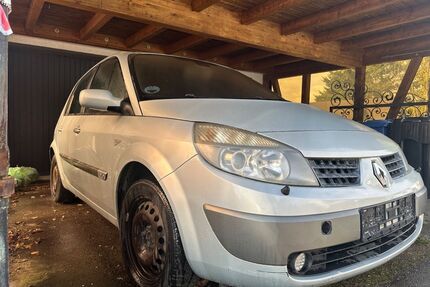 Renault Scenic Gebrauchtwagen