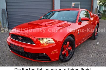 Ford Mustang Gebrauchtwagen