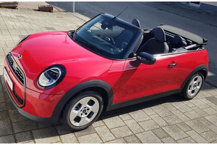 Mini Cooper Cabrio Gebrauchtwagen