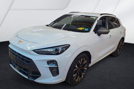 Cupra Terramar Gebrauchtwagen