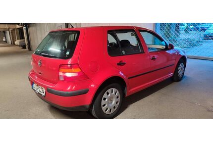 VW Golf Gebrauchtwagen
