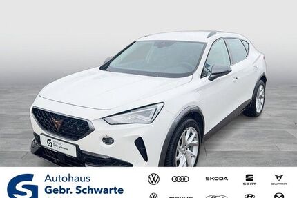 Cupra Formentor Gebrauchtwagen