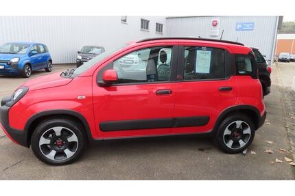 Fiat Panda Gebrauchtwagen