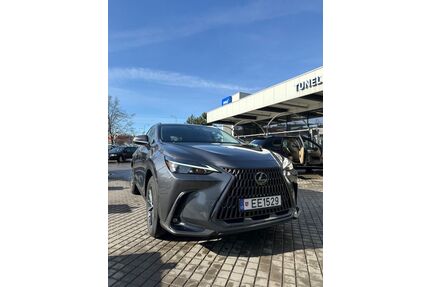 Lexus NX 450h Gebrauchtwagen