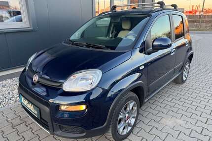 Fiat Panda Gebrauchtwagen