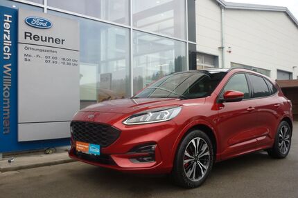 Ford Kuga Gebrauchtwagen
