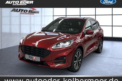Ford Kuga Gebrauchtwagen