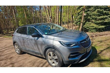 Opel Grandland (X) Gebrauchtwagen