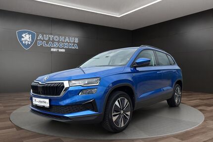 Skoda Karoq Gebrauchtwagen