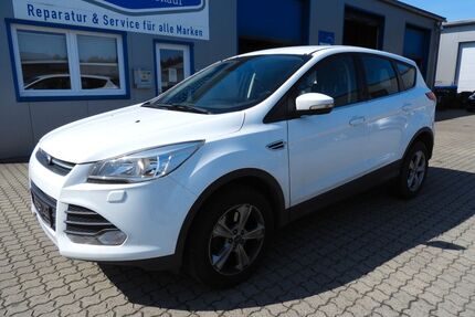 Ford Kuga Gebrauchtwagen